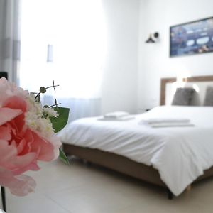 Dion Guest House